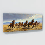 Montana Freedoms Gallop 9