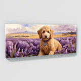 Goldendoodle Bliss 33