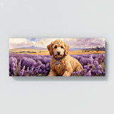 Goldendoodle Bliss 33