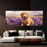 Goldendoodle Bliss 33