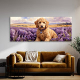 Goldendoodle Bliss 33