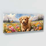 Goldendoodle Butterfly Chase 24