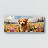 Goldendoodle Butterfly Chase 24