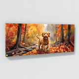 Goldendoodle Canine Dance 28