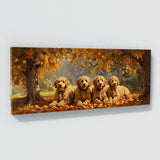 Goldendoodle Canine Rest 18