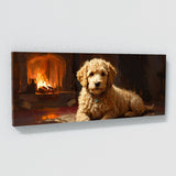 Goldendoodle Firelight 11