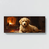 Goldendoodle Firelight 11