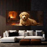 Goldendoodle Firelight 11