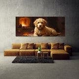 Goldendoodle Firelight 11