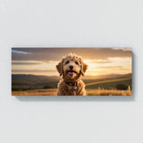 Goldendoodle Golden Doodle Bliss 81