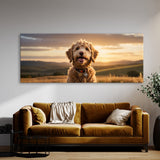 Goldendoodle Golden Doodle Bliss 81