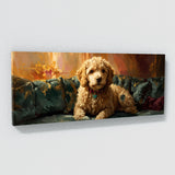 Goldendoodle Regal Velvet Lounge 2