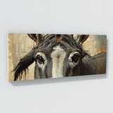 Donkey Soulful Gaze 17