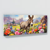 Donkey Springtime Serenade 37