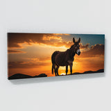 Donkey Sunset 68