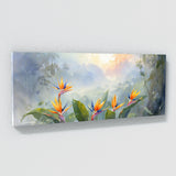 Bird Of Paradise Misty Paradise 27