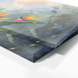 Bird Of Paradise Misty Paradise 27