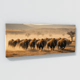 Yellowstone Charging Dust Plains 78
