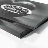 Walnut Drama 57