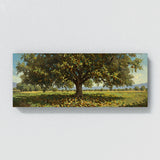 Walnut Harvest Glory 9