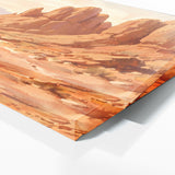 Running Arid Pathways 16