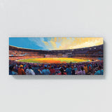 Rugby Stadium Euphoria 63