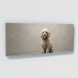 Poodle Elegant 77