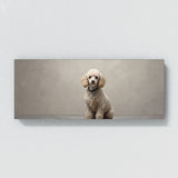 Poodle Elegant 77