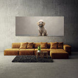 Poodle Elegant 77