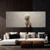 Poodle Elegant 77