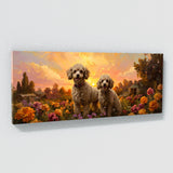 Poodle Golden Frolic 10