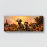 Poodle Golden Frolic 10