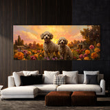 Poodle Golden Frolic 10