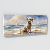 Poodle Joyful Beach Day 22