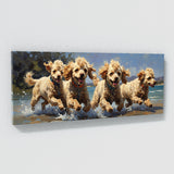 Poodle Playground 41