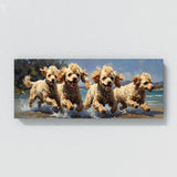 Poodle Playground 41