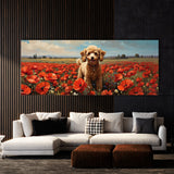 Poodle Poppy Field Play 52
