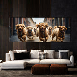 Poodle Sprint 71