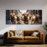 Poodle Sprint 71