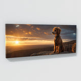 Poodle Sunset Sentinel 61