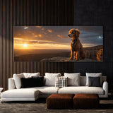 Poodle Sunset Sentinel 61