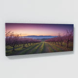 Plum Twilight Enchantment 67
