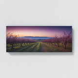 Plum Twilight Enchantment 67
