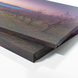 Plum Twilight Enchantment 67