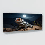 Lizard Drama 81