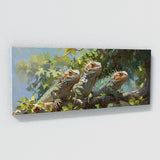 Lizard Iguanas Sunbath 10