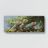 Lizard Iguanas Sunbath 10