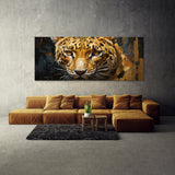 Jaguar Gaze 50