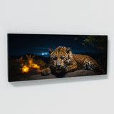 Jaguar Moonlit Predator 67