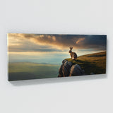 Hare Cinematic Cliffside Gaze 68